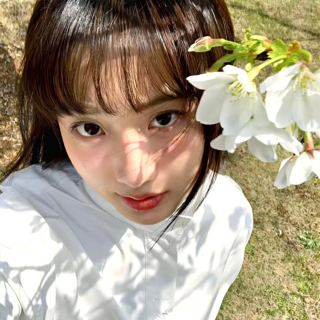 逗逗迪迪之美梦年年